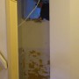 14. Niet-dragende Muur Tussen Wc En Keuken Slopen 506 X 900